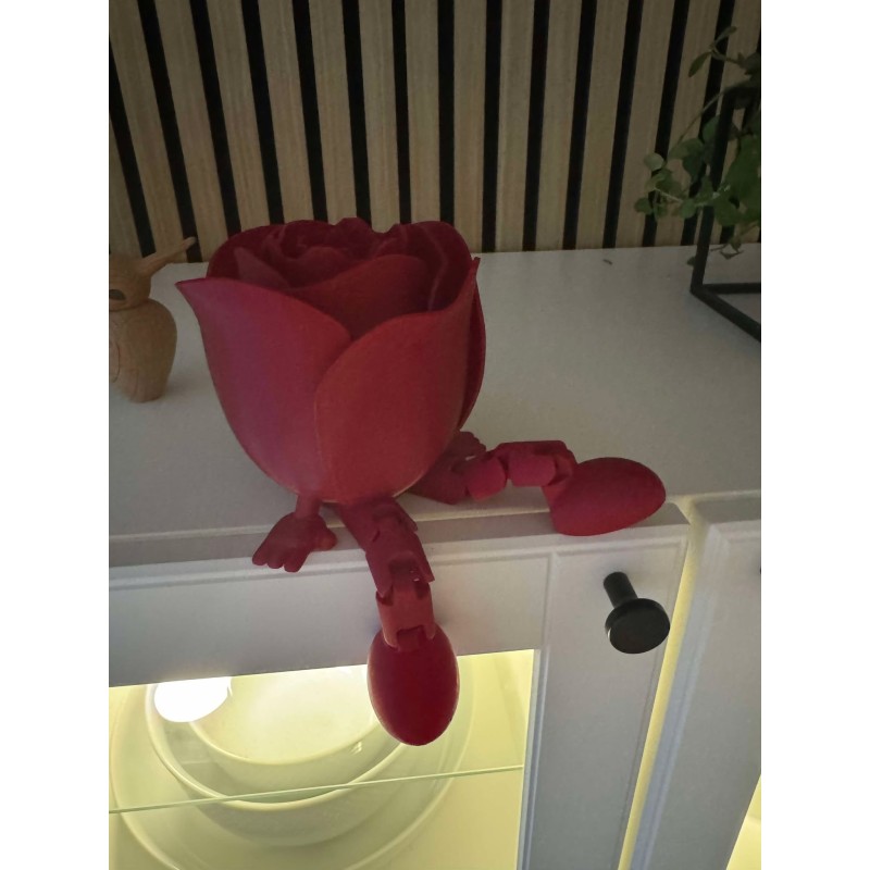 Rose - forskellige farver.