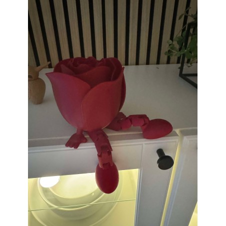 Rose - forskellige farver.